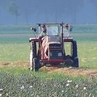 here comes the farmer (on his way to work)