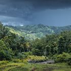 Here Comes The Rain Again ~ Sumba Barat, Indonesia