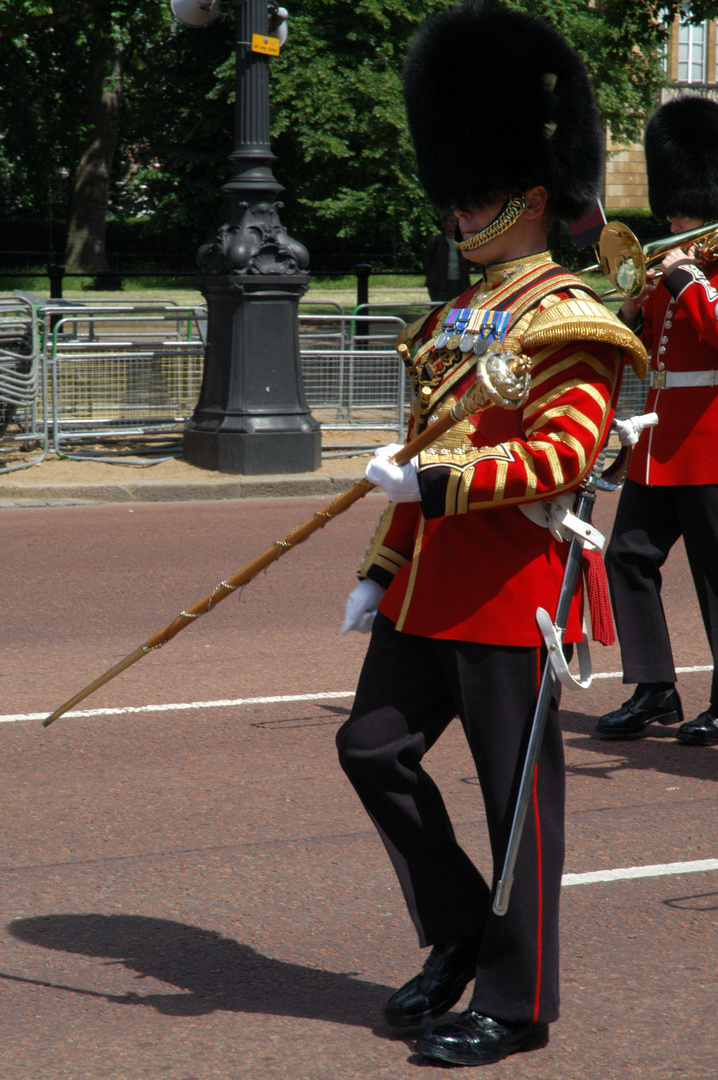 Here they come! The Guards of the Queen II