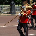 Here they come! The Guards of the Queen II