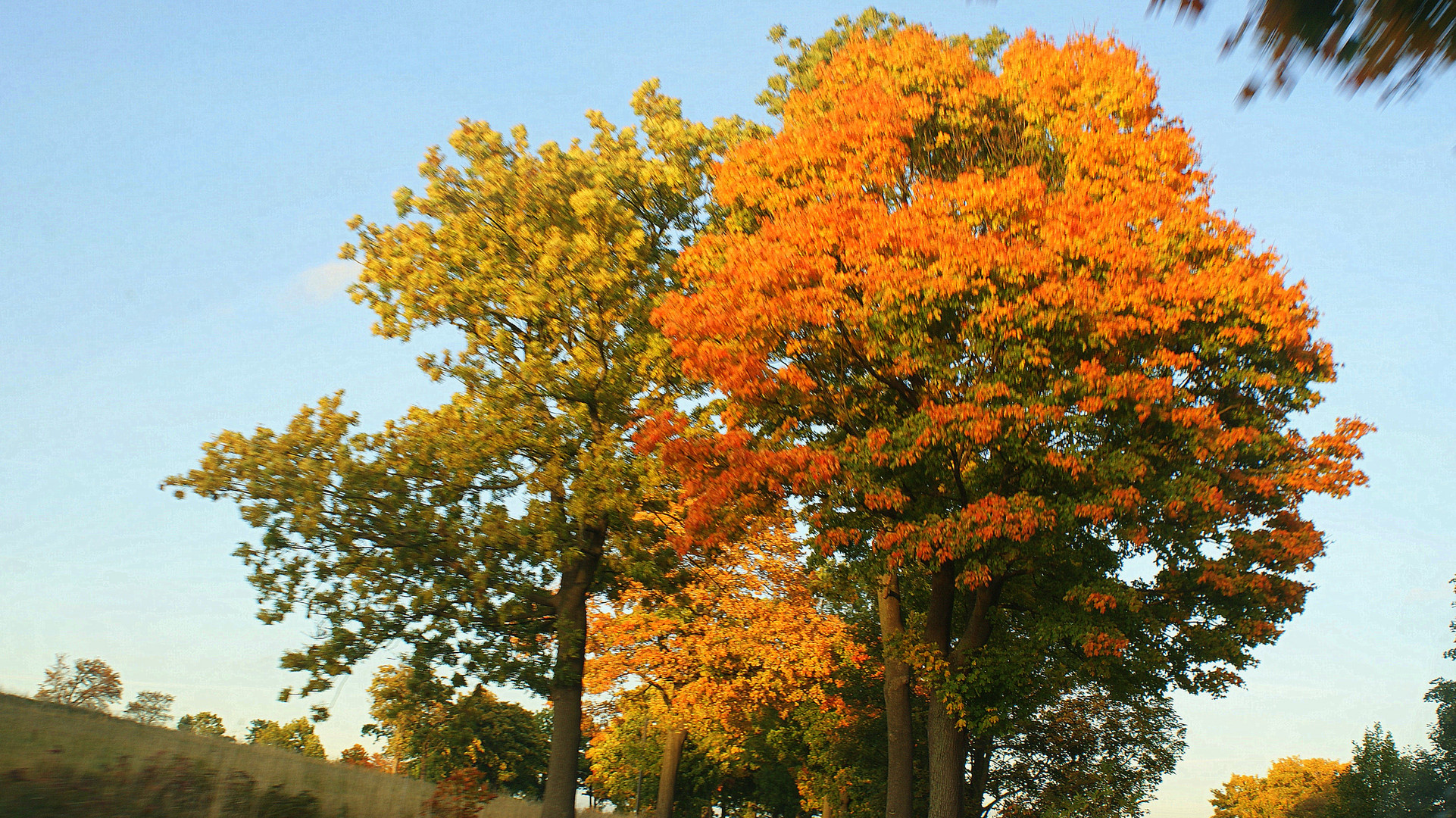 Herfst in het Ertsgebergte aan de Tjechische grens