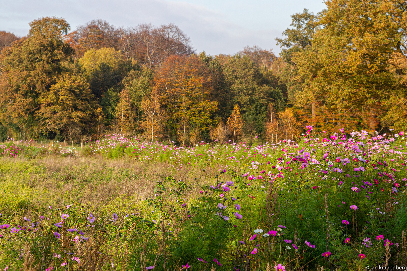 Herfst_2020_11_06_3830