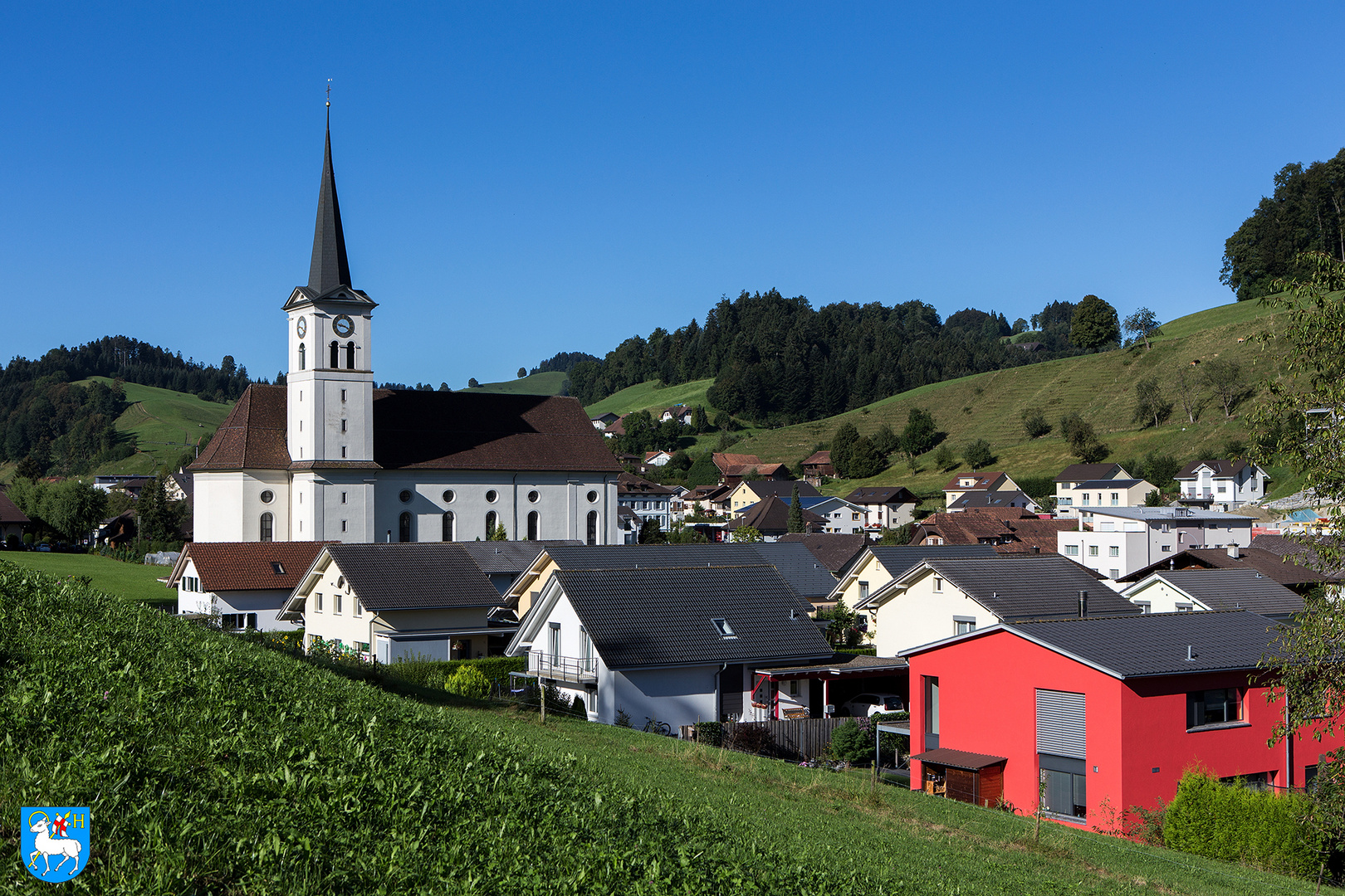 Hergiswils Schäfchen