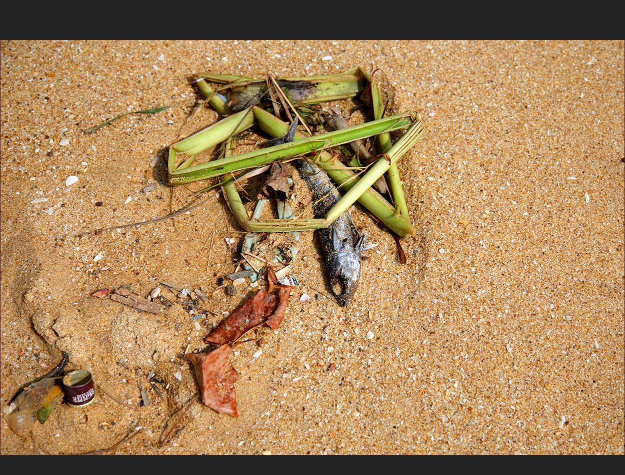 Hering auf Sand an frischem Gemüse