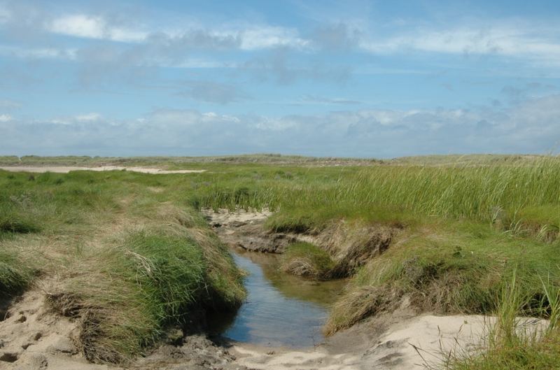 Hering Cove Beach, Cape Cod, Massachusetts