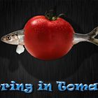 Hering in Tomate