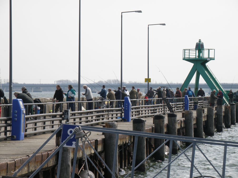 Heringsangler auf der Stralsunder Mole