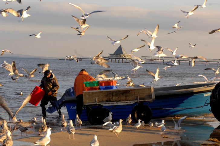 Heringsdorf:Zurück vom Fischfang!