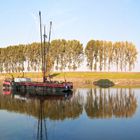 Heringsfänger auf der Weser