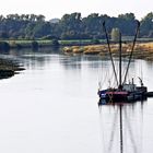 Heringsfänger auf der Weser