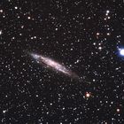 Heringsgalaxie NGC4945