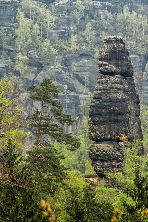 Heringsgrundnadel