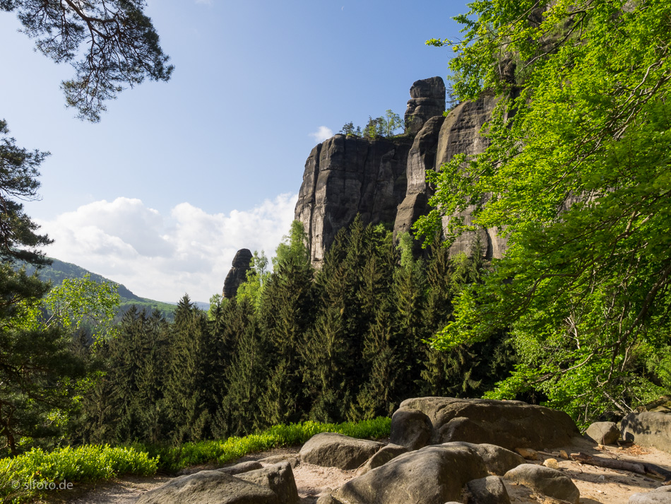 Heringsgrundnadel und Muschelkopf vom unteren Terrassenweg