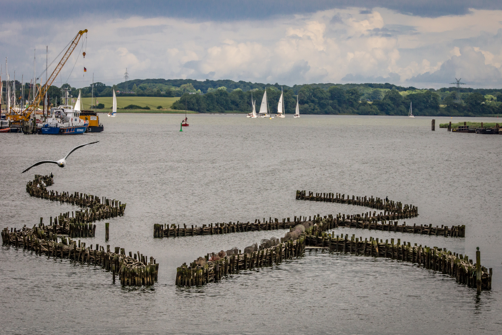  Heringszaun - Kappeln an der Schlei/Schl.-Holstein