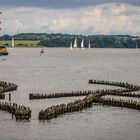  Heringszaun - Kappeln an der Schlei/Schl.-Holstein