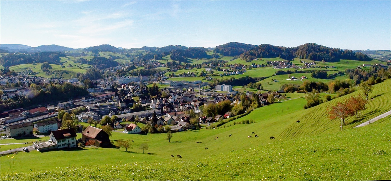 Herisau