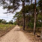 Herkenbosch - de Meinweg - 09