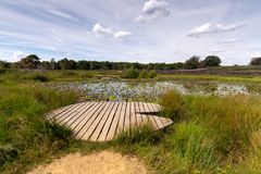 Herkenbosch - de Meinweg - 27