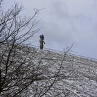 Herkules beim Winterspaziergang