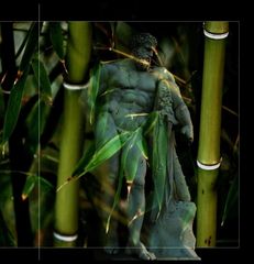 Herkules im Bambuswald