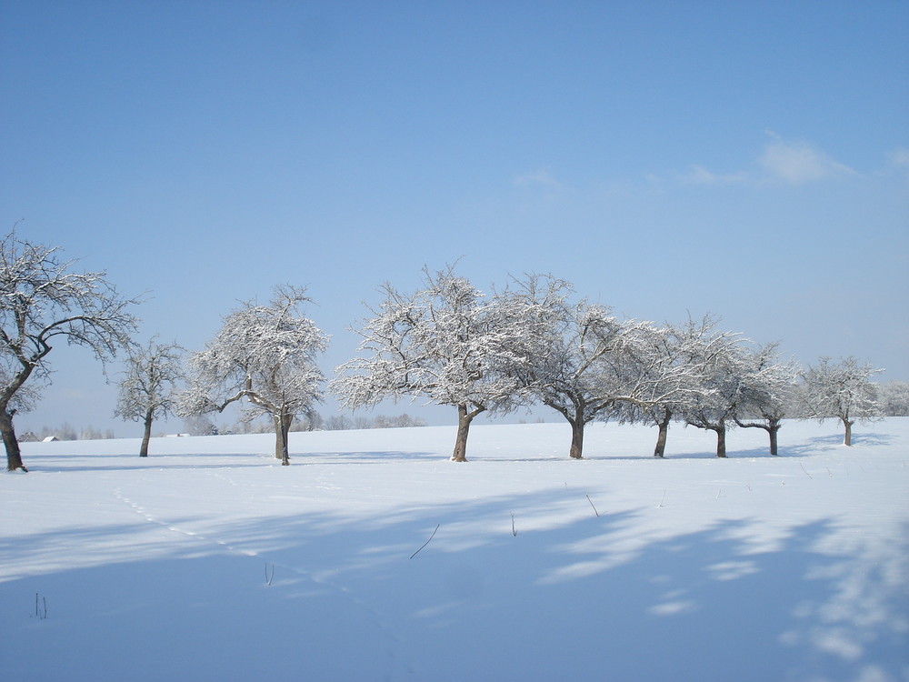 herliche Winterlandschaft