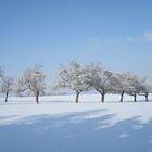 herliche Winterlandschaft