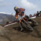 Herlings