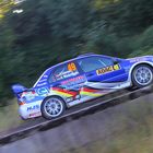 Hermann Gaßner / Kathi Wüstenhagen Rallye-Dt. 2010