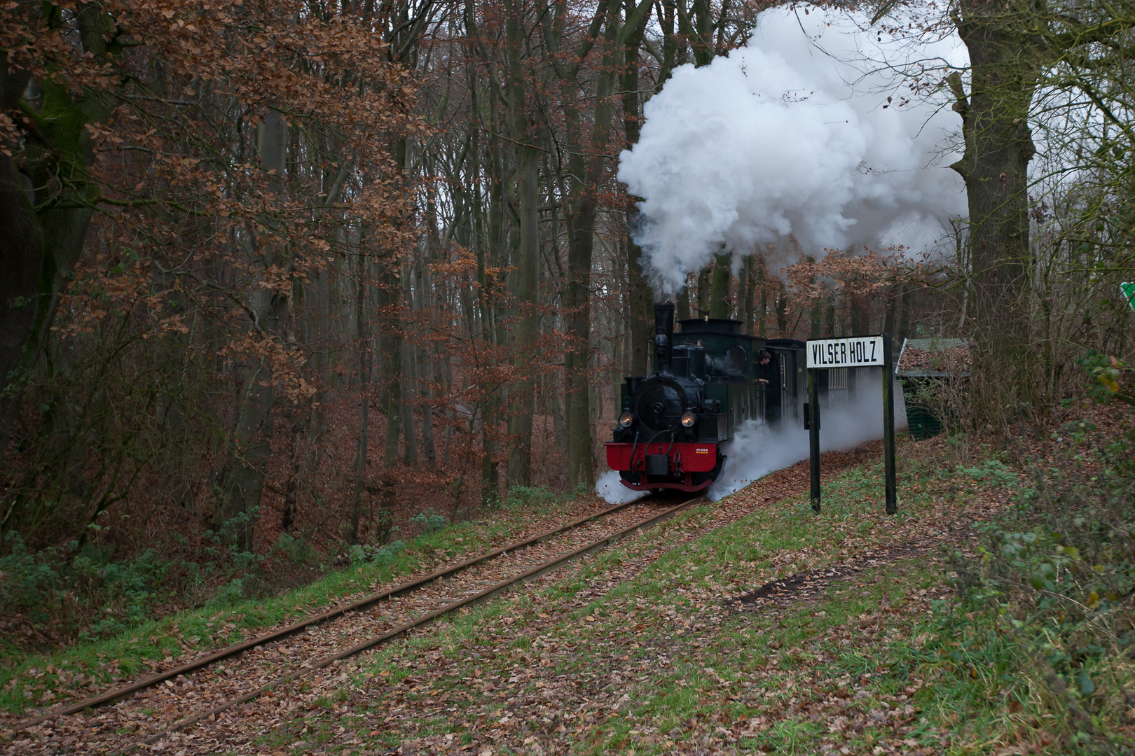 Hermann im Vilser Holz