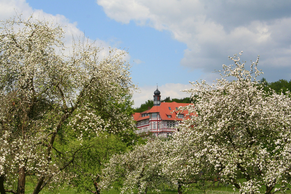 Hermann-Lietz -Schule-Haubinda 3