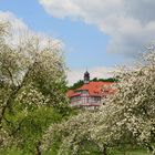 Hermann-Lietz -Schule-Haubinda 3