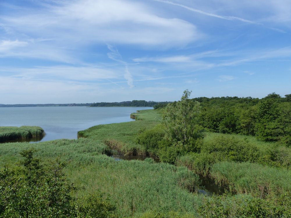 Hermann-Löns-Blick