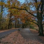 Hermann Löns Park I - Hannover