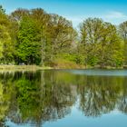 Hermann-Löns-Park III - Hannover