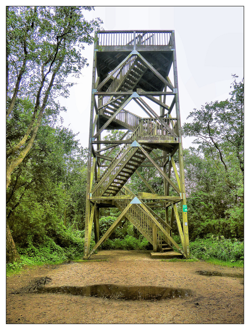 Hermann-Löns-Turm