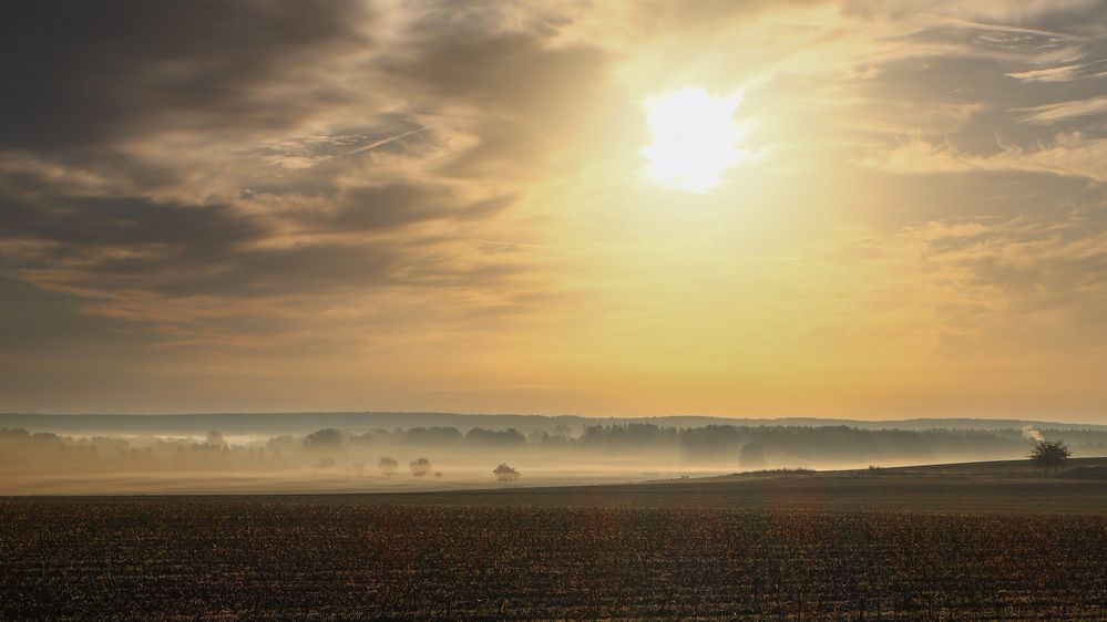 Hermannsburg im Morgennebel