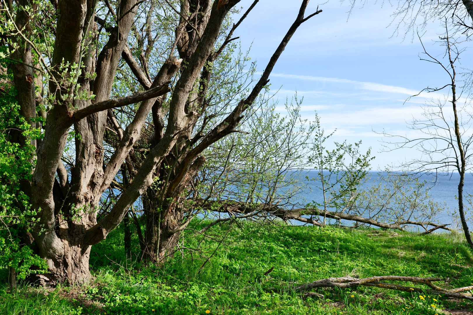 Hermannshöhe / Ostseeküste 