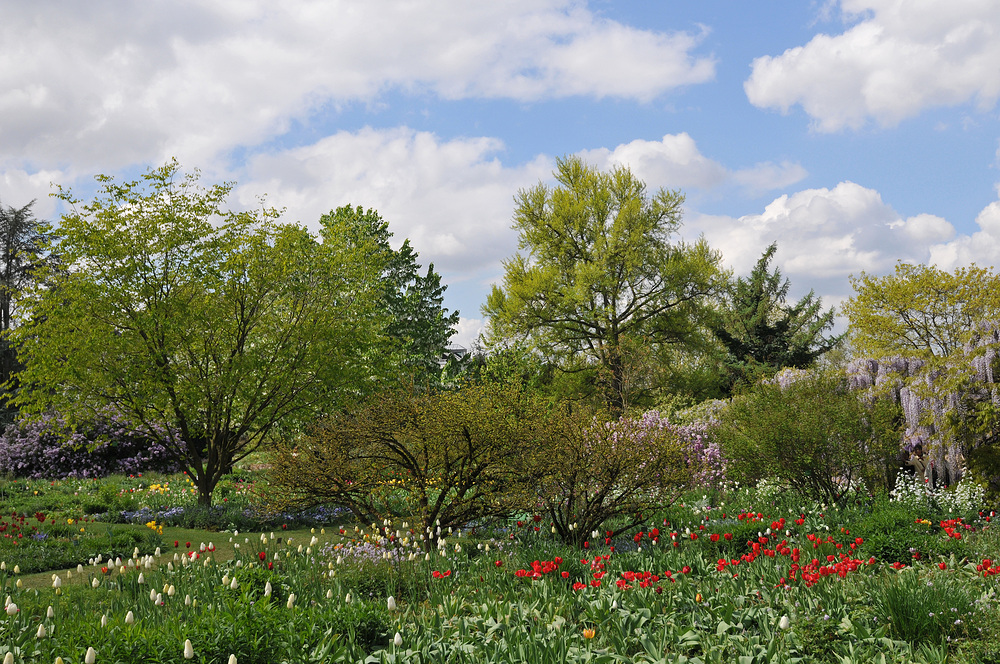 Hermannshof - Blütenbunt