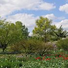 Hermannshof - Blütenbunt