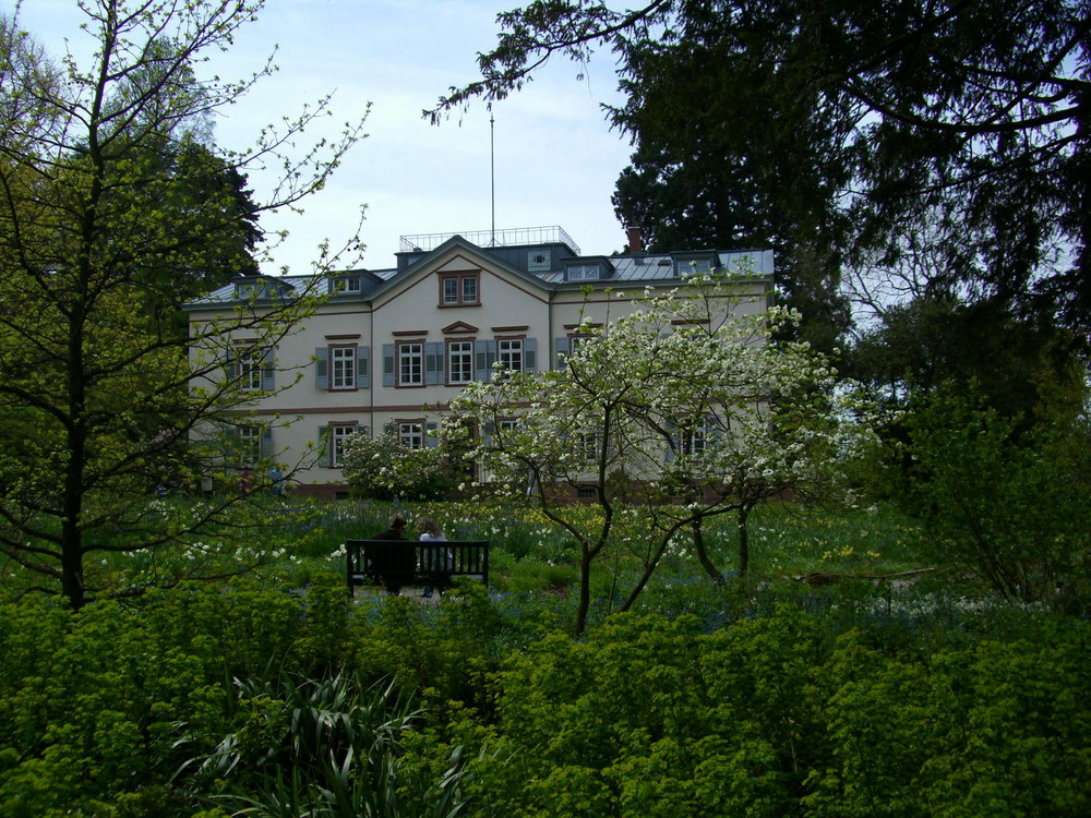 Hermannshofpark  Weinheim - Sichtungsgarten