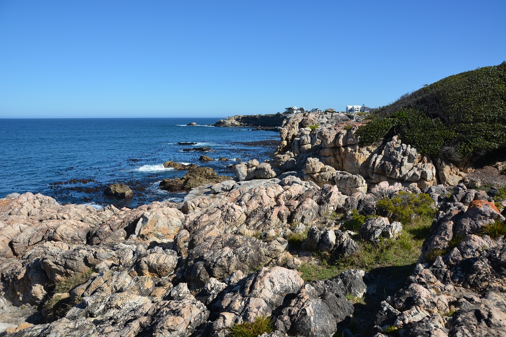 Hermanus .