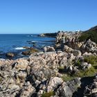 Hermanus .