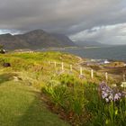 Hermanus