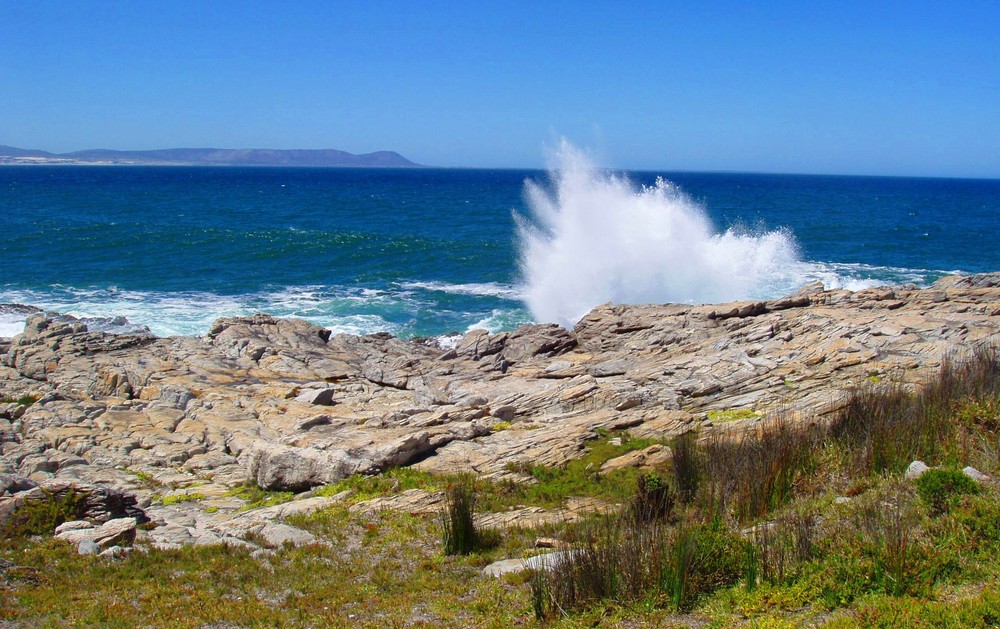 Hermanus