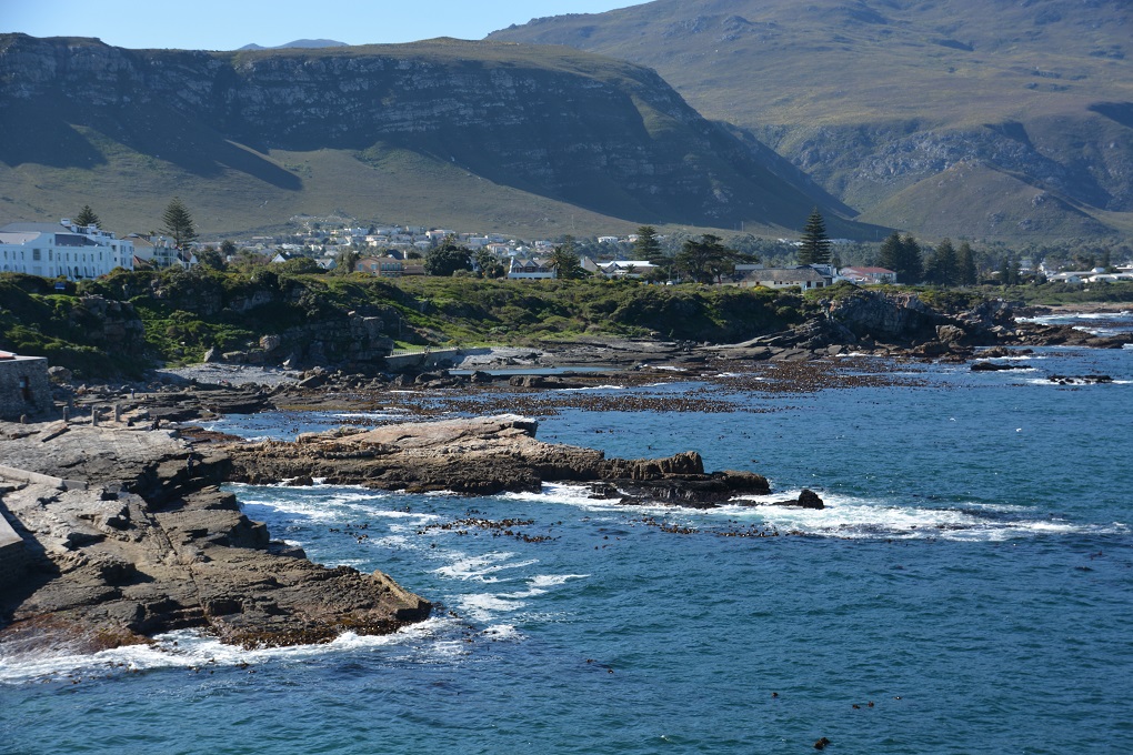 Hermanus - die Küste