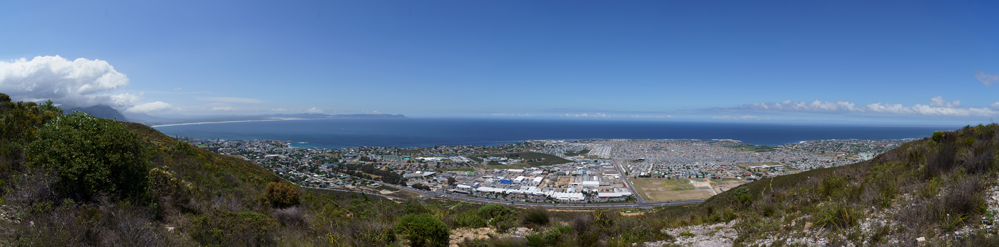 Hermanus Panorama