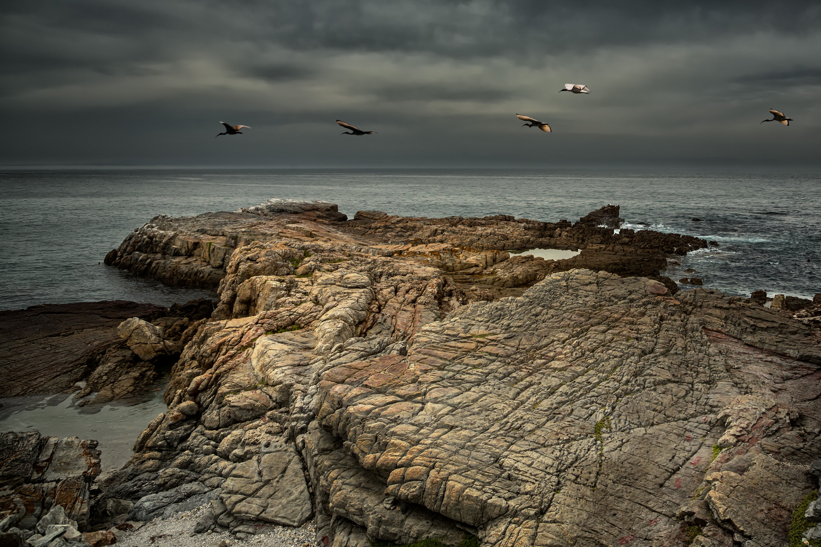 Hermanus - un endroit mystique lorsque les baleines tant attendues n'y sont pas