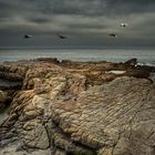 Hermanus - un endroit mystique lorsque les baleines tant attendues n'y sont pas