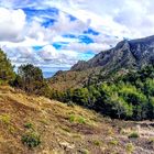 Hermigua - im Gebirge  - La Gomera