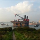 HERMOD / Crane Vessel / Calandkanal / Rotterdam